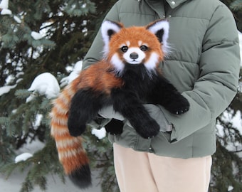 Pre-order Red panda art doll plush poseable animal