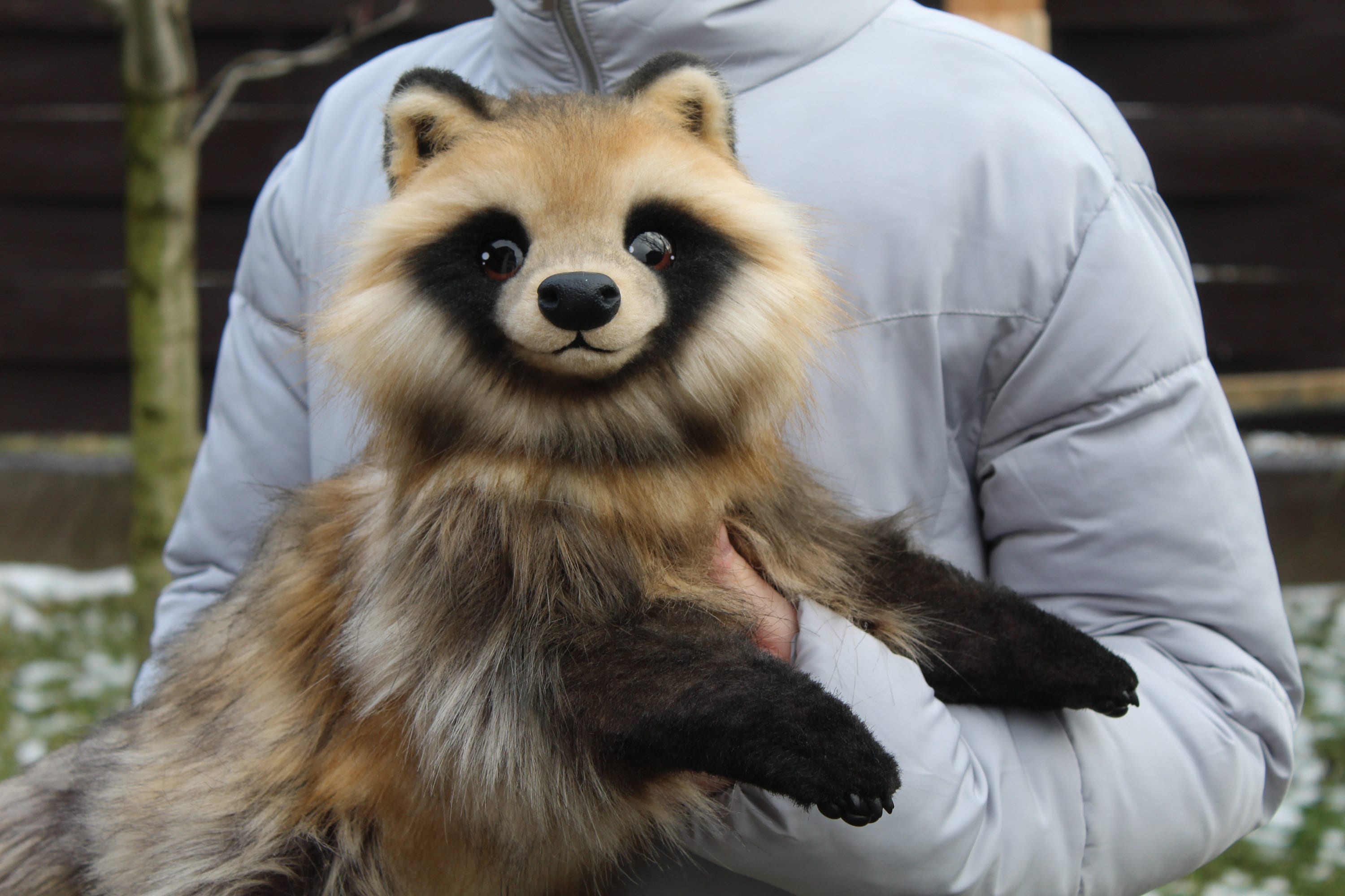 たぬきタヌキのポーズが取れるぬいぐるみアートドールを予約注文