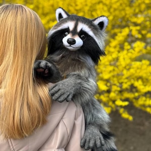 Pre-order Raccoon poseable plush art doll