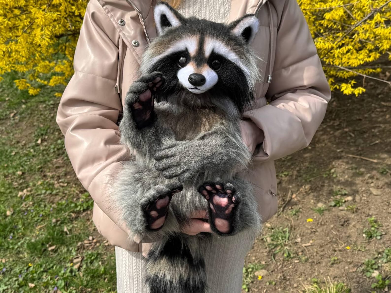 Pre-order Raccoon Poseable Plush Art Doll - Etsy
