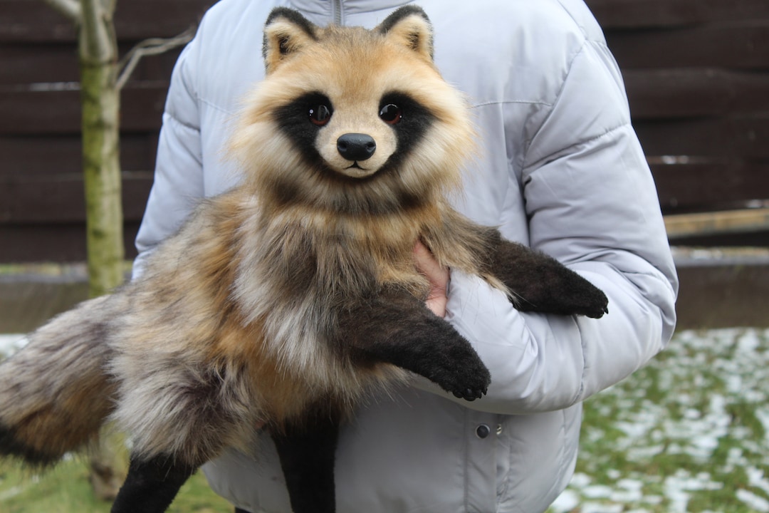 たぬきタヌキのポーズが取れるぬいぐるみアートドールを予約注文