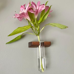 Lotus Floating Wall Vase – Plant Propagation Wall Planter – Walnut or Cherry Hardwood Mount with Glass Propagation Tube