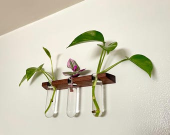 Lotus Triple Floating Wall Vase – Plant Propagation Wall Planter – Walnut or Cherry Hardwood Mount with Glass Propagation Tubes
