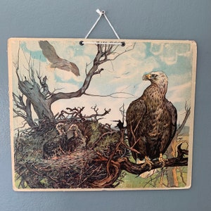 Alte authentische Schullehrtafel - doppelseitig - Adler - Schweine - Schulplakat