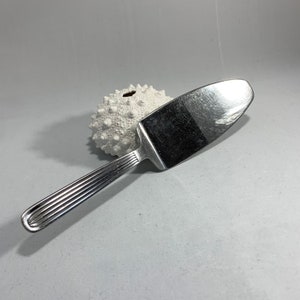 Könnte beinhalten: Ein silberner Kuchenschieber mit einem geriffelten Griff. Der Schieber liegt auf einem weißen Seeigel.