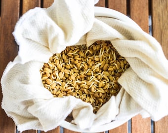 Organic Cotton Sprouting Cloth: Seed & Nut Milk Strainer (11x11)