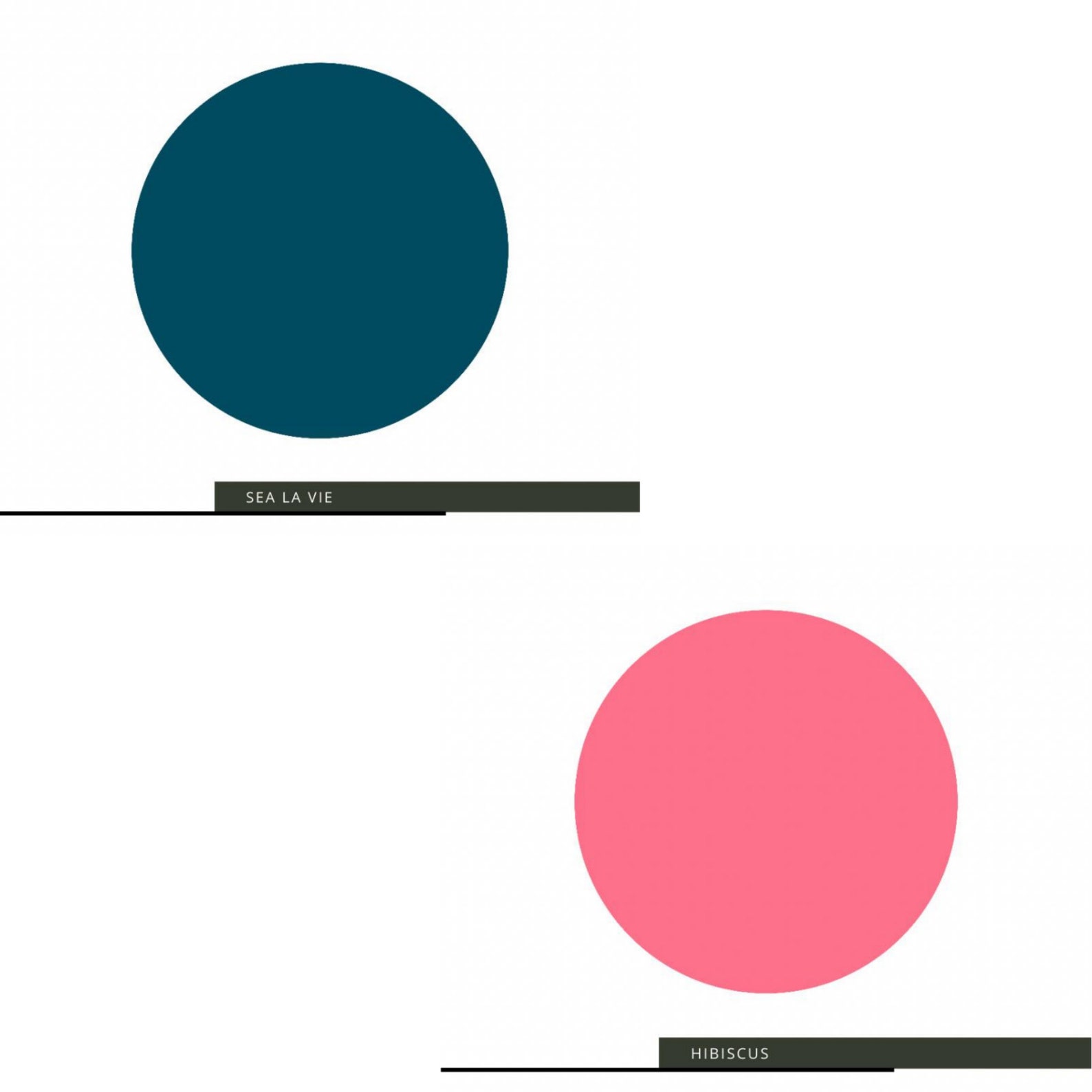 Clay and Chalk Paint for Furniture, Canvas & Art Paint, Non Toxic, DYI