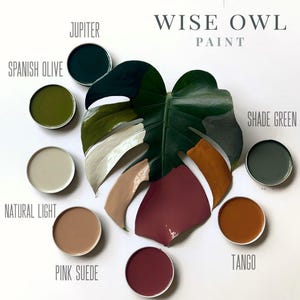 One Hour Enamel Wise Owl Paint , Fast-Drying Acrylic Enamel for Kitchen Cabinets, Doors & Furniture, 32 oz &quot;NEW Collection&quot; Summer In Ibiza