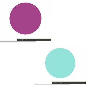 May include: Two solid colour circles, one purple and one turquoise, with the text "SCUBA GIRL" and "SALTWATER" below each circle.