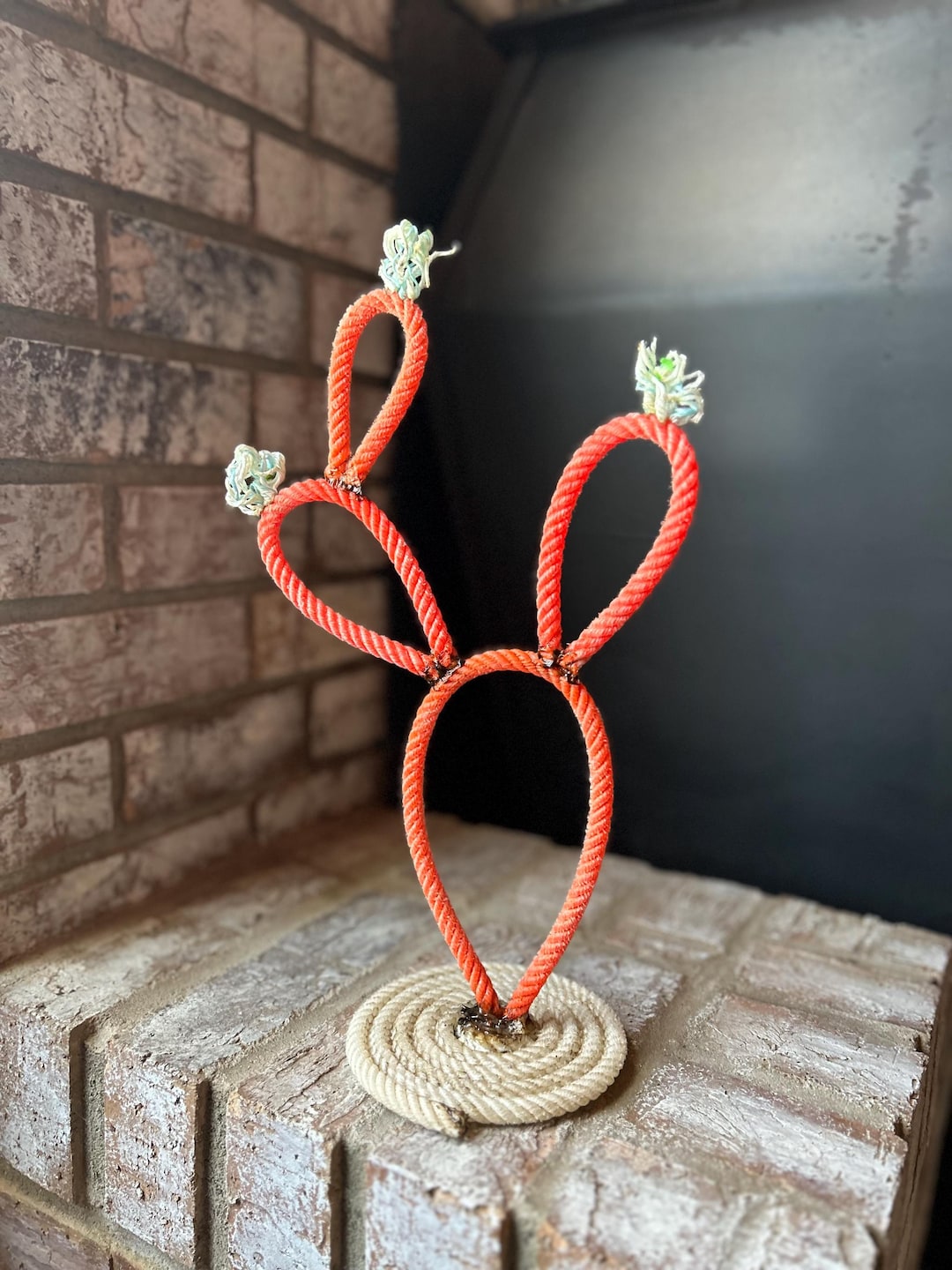 Mini Lariat Rope Cactus - Etsy