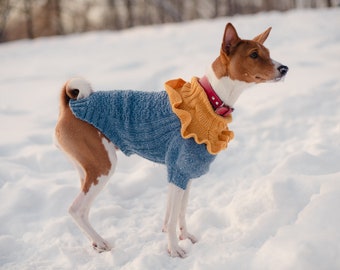sweaters for medium sized dogs