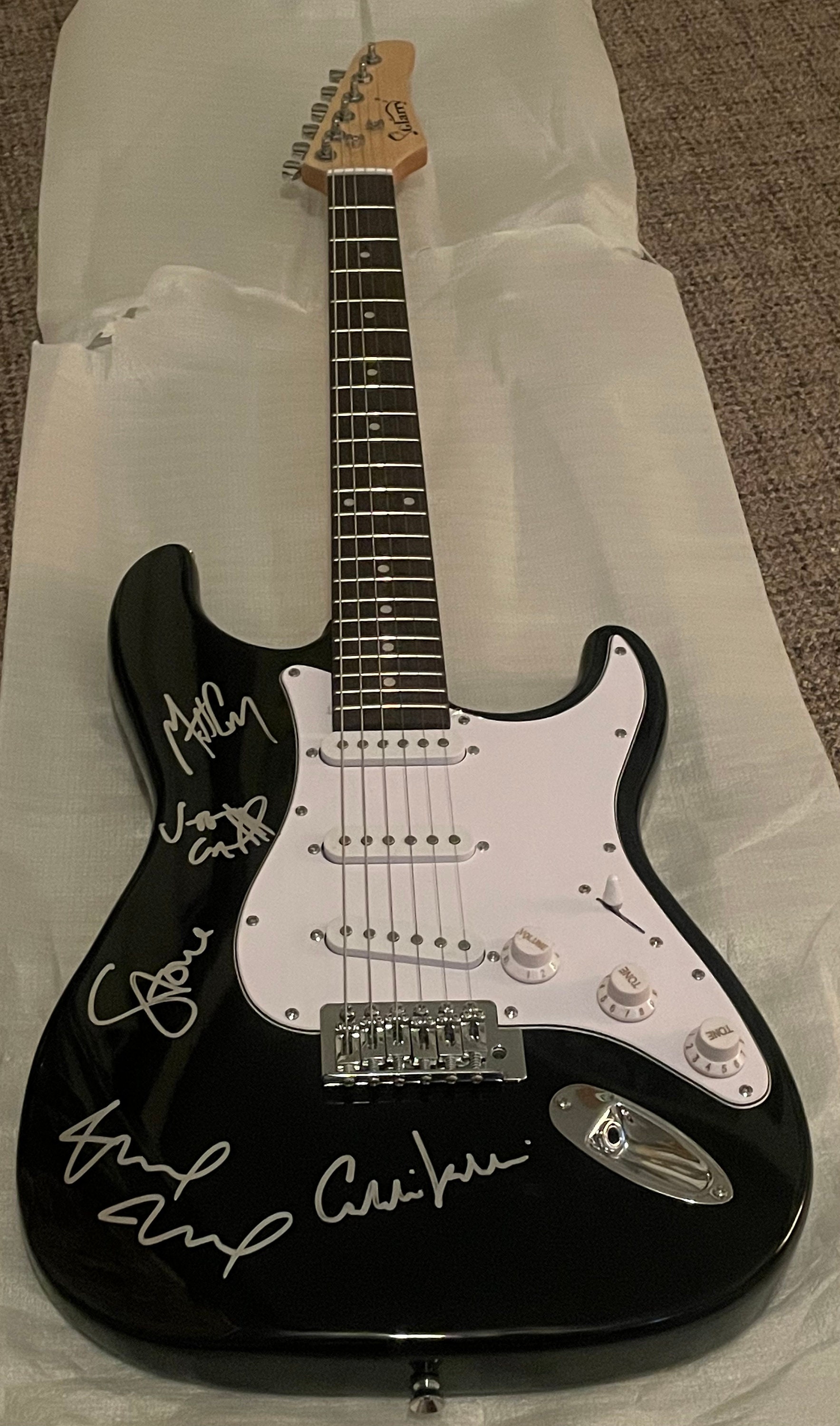 PEARL JAM Signed AUTOGRAPHED Full Size Guitar - Etsy