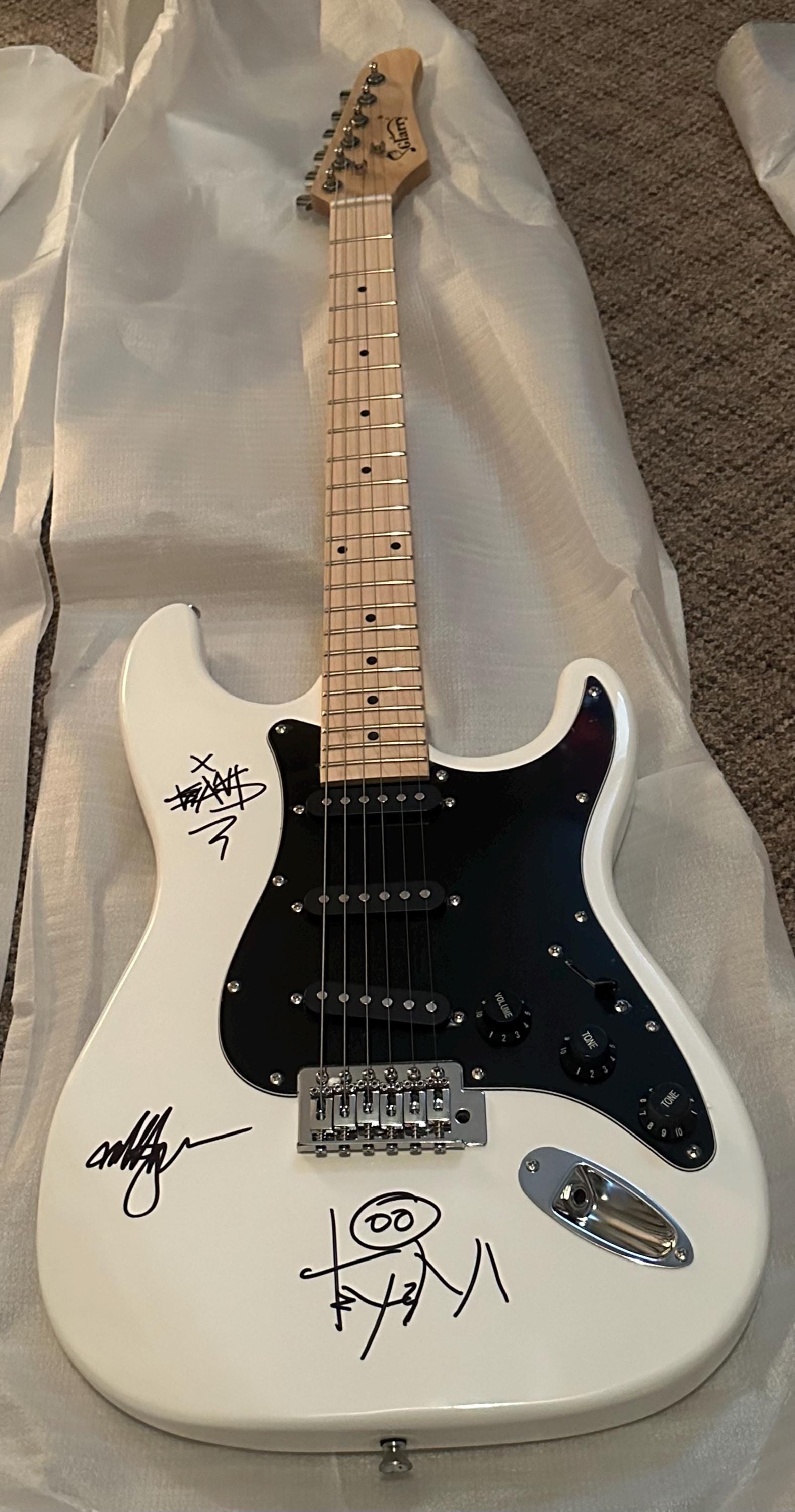 BLINK 182 直筆サイン入りフルサイズギター - Etsy 日本