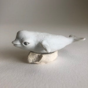 Little Beluga of Childhood Dreams