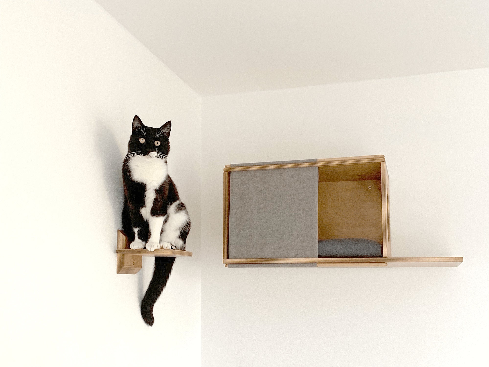 Wall mounted cat perch with steps and cushion/ Cat wall bed/ Etsy