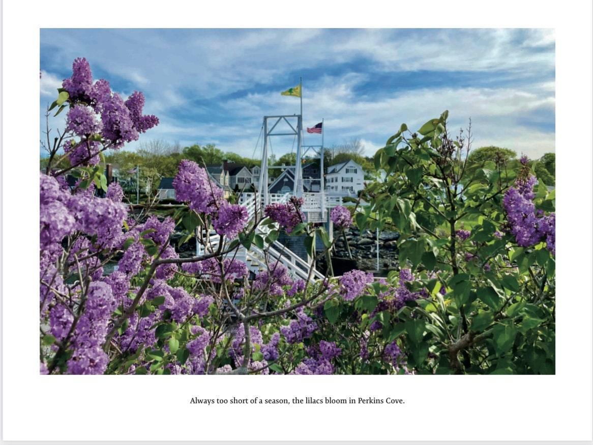 2024 Ogunquit Calendar D Sullivan Photography Etsy