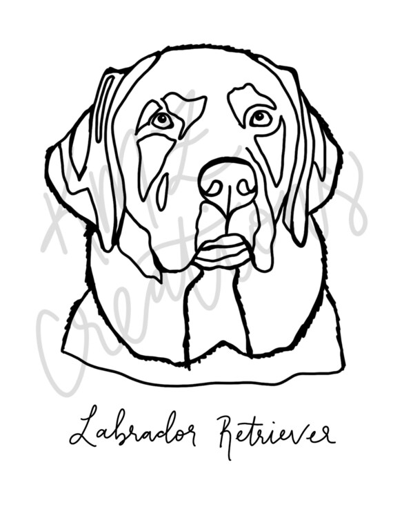 coloring pages of labrador retrievers