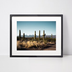 Saguaro National Park Druck Arizona Kaktus Poster Tucson Arizona Druck Saguaro-Wüste Fotografie South West Interior Dekor Arizona Poster