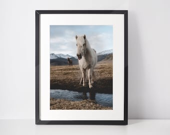 Cavallo islandese - Paesaggio nordico - Arte murale del cavallo - Stampa blu e beige - Stampa di viaggio in Islanda - Fotografia di cavalli - Viaggio in Islanda