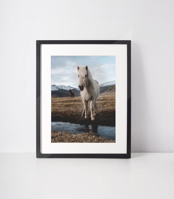Icelandic Horse - Nordic Landscape - Horse Wall Art - Blue and Beige Print - Iceland Travel Print - Horse Photography - Iceland Travel