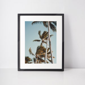Palm Tree Wall Art Hawaii Tropical Print Beachy Palm Tree Photography Tropical Home Decor Hawaiian Islands Print Island Tropical Poster