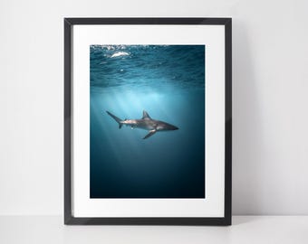 ハワイのサメの影 - Etsy 日本