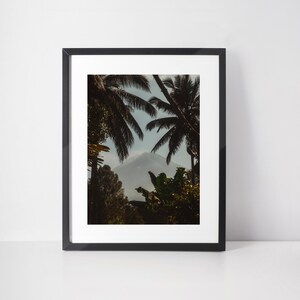 May include: A framed photograph of a mountain peak seen through the leaves of palm trees. The mountain is in the distance and is partially obscured by clouds. The palm trees are in the foreground and are silhouetted against the sky.