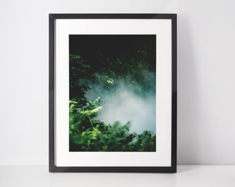 Arte mural de la Isla Grande Fotografía de la naturaleza de la jungla de Hawái Decoración de pared de la selva tropical Impresión de viaje de Hawái Fotografía de paisaje original