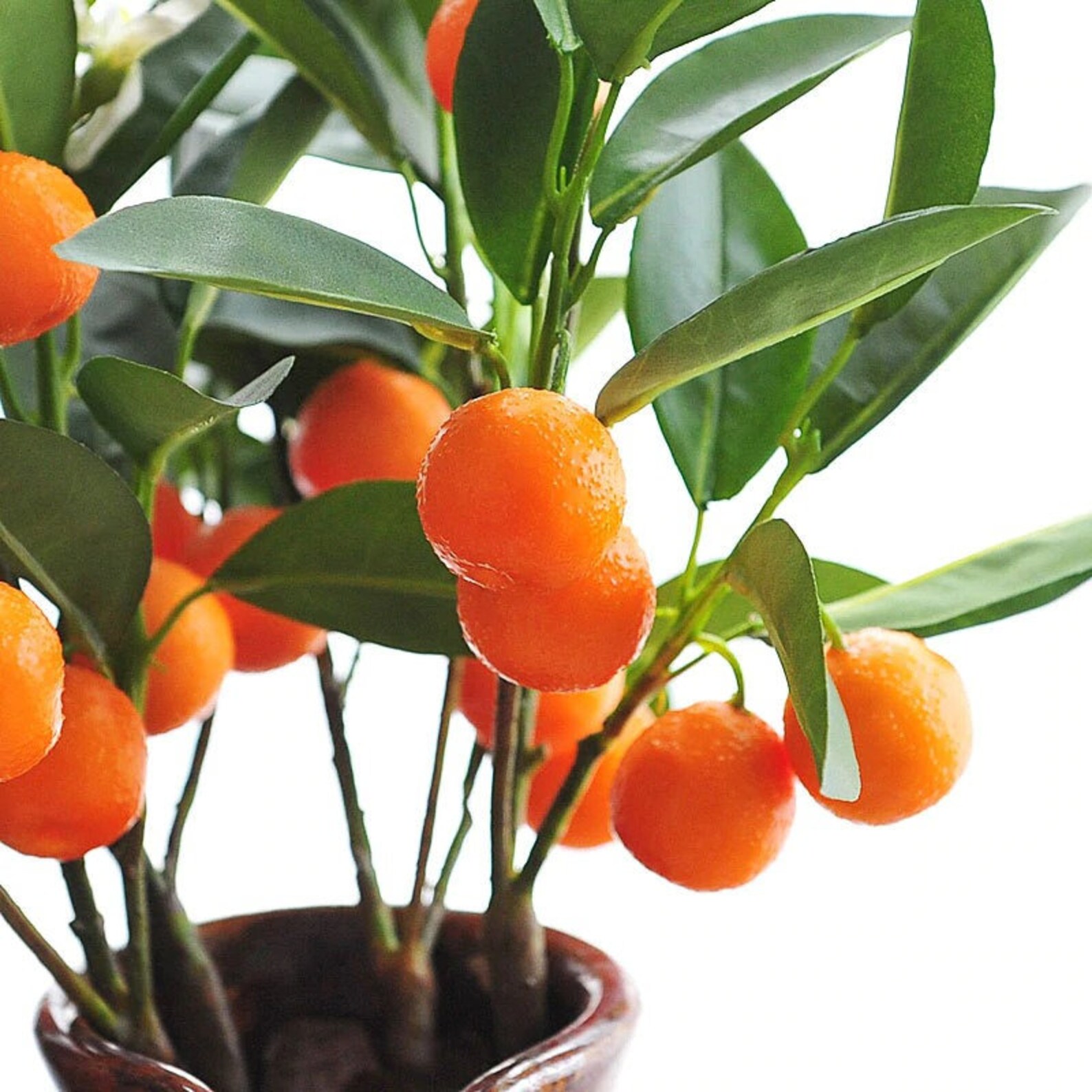 Highend Artificial Flowers Mini Kumquat Simulation Fruit Etsy