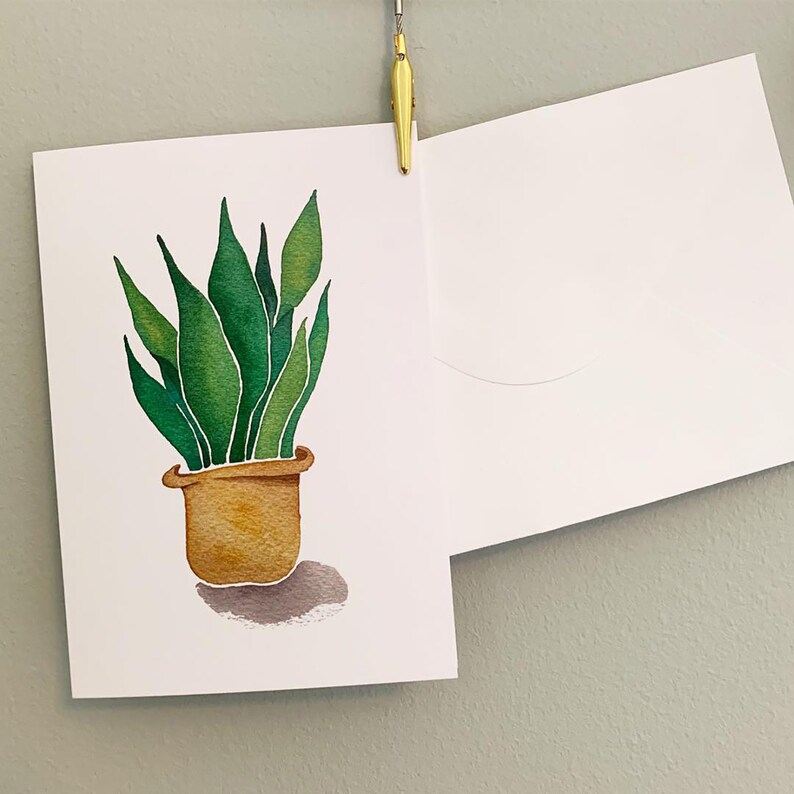 May include: A watercolour painting of a potted snake plant with green leaves and a brown pot. The plant is sitting on a white background.