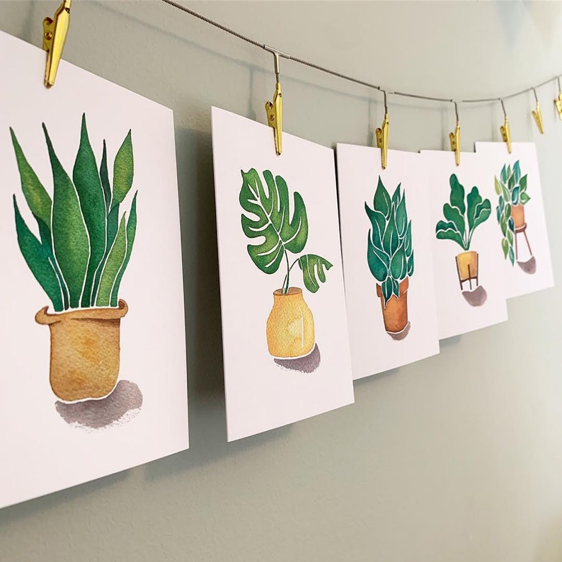 May include: Five watercolour paintings of potted plants hanging on a wall with gold clips. The plants are a snake plant, a monstera, a peace lily, a fiddle leaf fig, and a succulent.