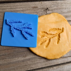 May include: A blue plastic mold with a design of a pine branch. The mold is used to create an impression in clay. The clay is a light orange color.