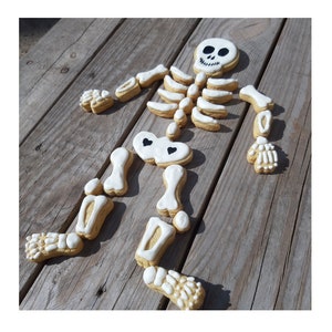 Anatomy cookie cutter, Skeleton cookie cutter, Skeleton cookie cutter set, Skeleton cookie, Funny cookie cutter, Skeleton bones puzzle