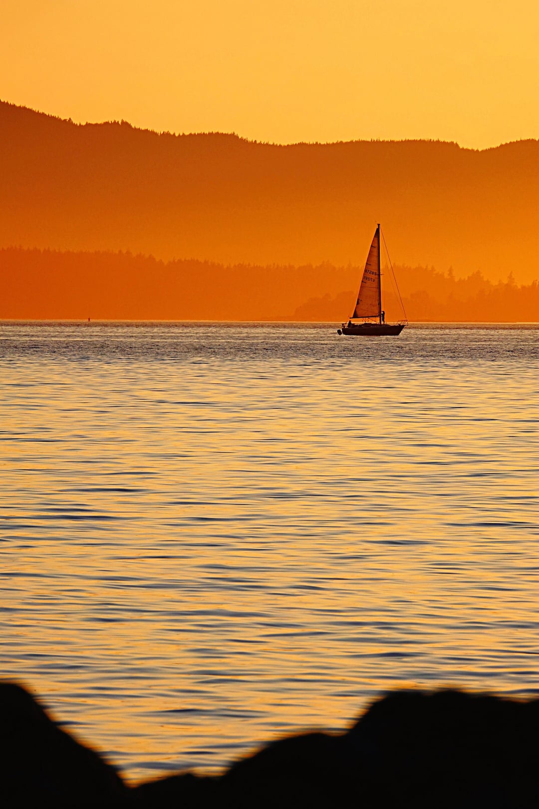Sailing Across Bellingham Bay Etsy