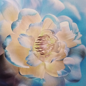 Cartes postales en édition limitée "Fluorescences"