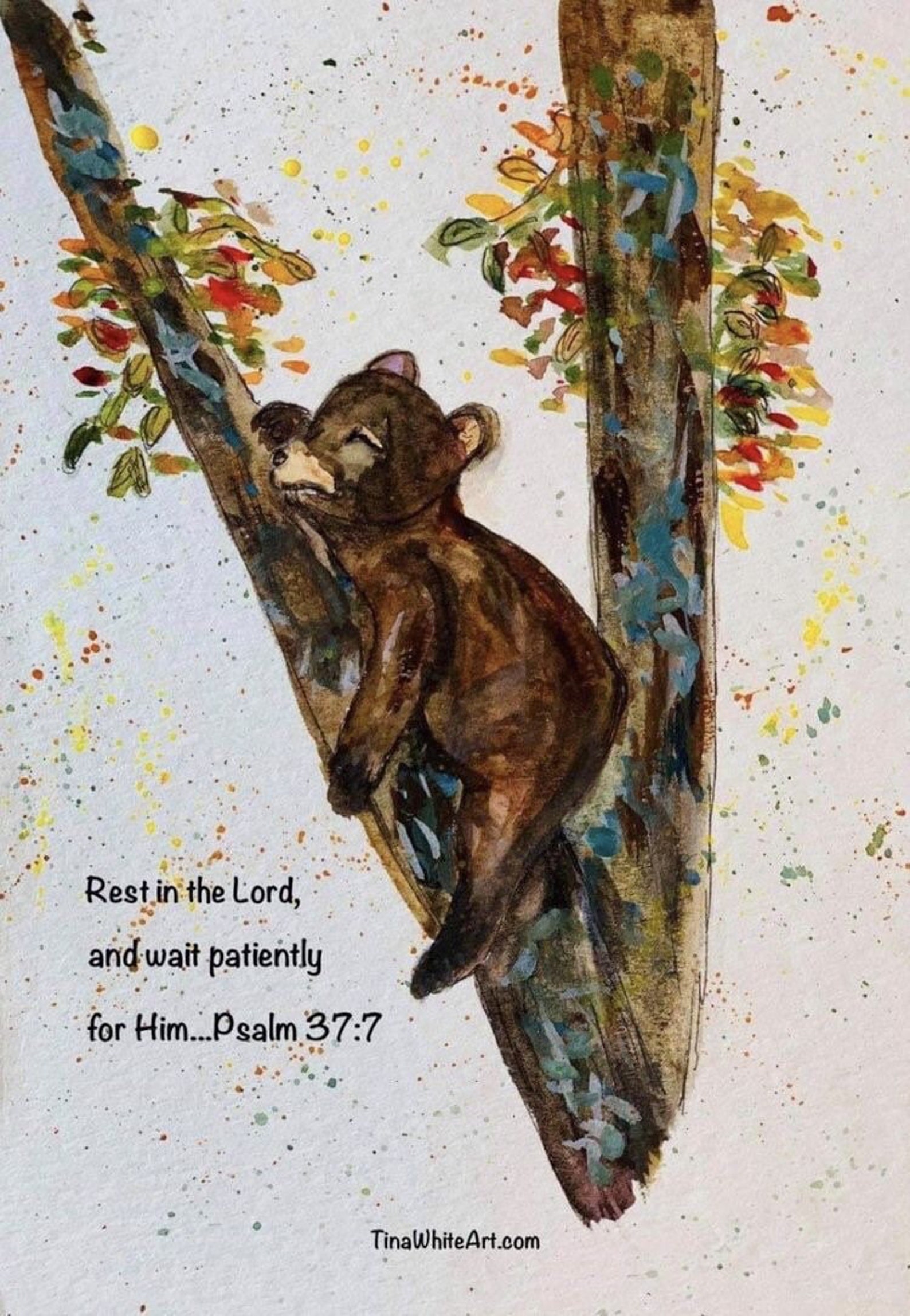 Christian Art Faith Prints Baby Bear Cub Bible Verse Artwork Etsy