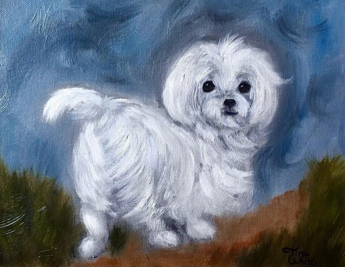 Maltese Wall Art Print Maltese Dog 5x7 Etsy