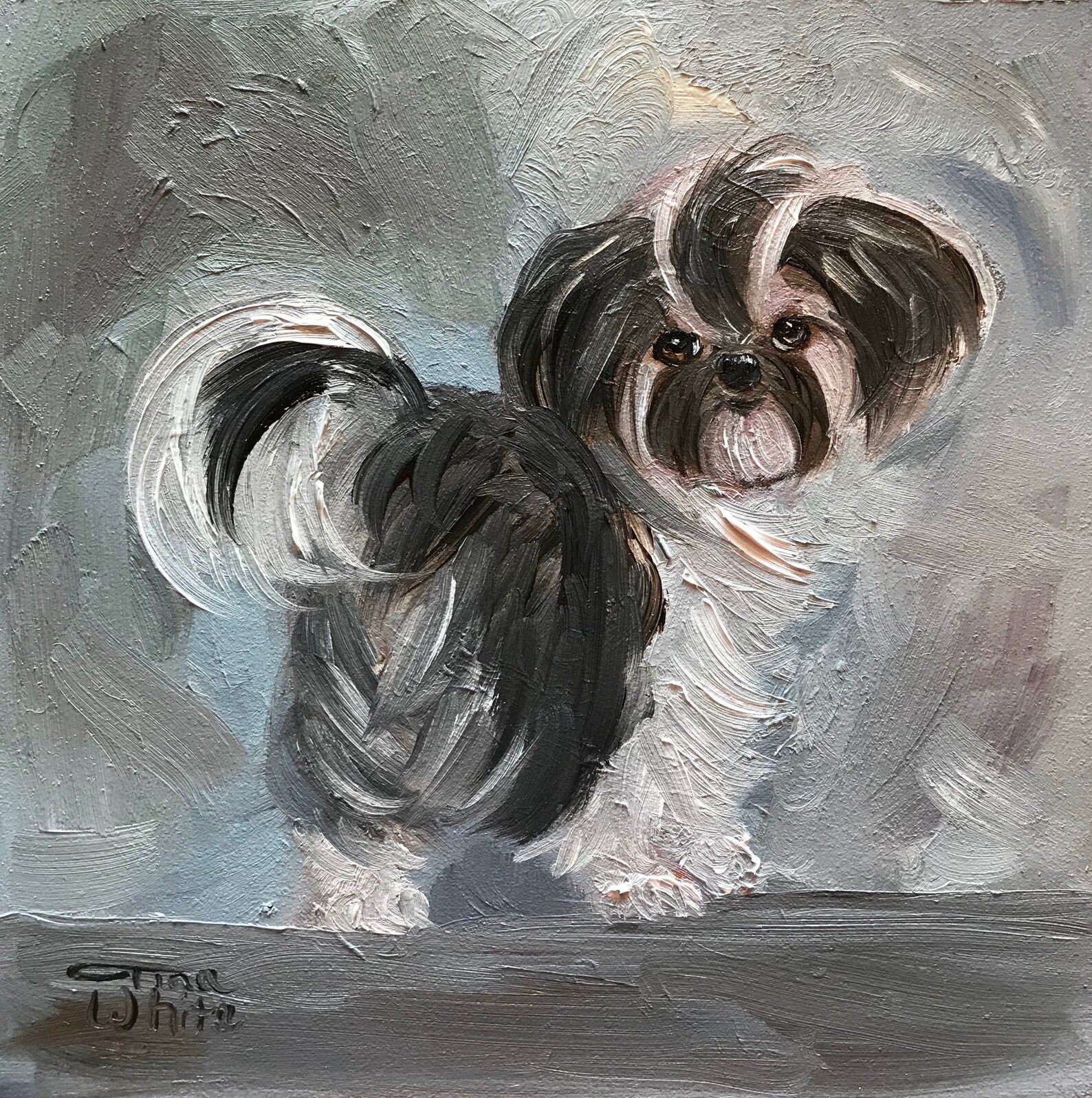 Shih Tzu Dog Art Original Oil Painting 6x6 Etsy
