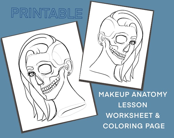 Anatomie van de schedel make-up gezichtskaart schedel kleurplaat ..., حجم الصورة 570x452