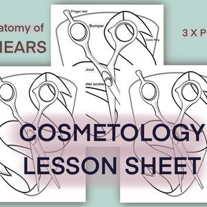 May include: Black and white line drawing illustration of shears with labelled parts, including finger rest, bumper, pivot, and inside ring. The text "COSMETOLOGY LESSON SHEET" is in the centre of the image.