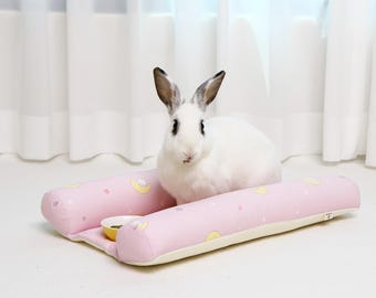 11-Fluffig kilbädd för kaniner (Månkanin)