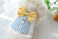 Stripe Harness for Only Rabbit (Vest, Boy) product logo