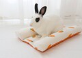 11-Fluffy Wedge Bed for Rabbits (Carrot) product logo