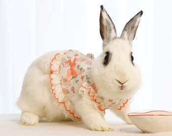 Puede incluir: Un conejo blanco con un vestido floral rosa y blanco con ribete de volantes. El conejo está sentado en una superficie blanca y mirando a la cámara.