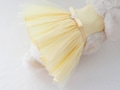 Mini dot pattern Harness for Only Rabbit bunny,  dress harness and leash (Yellow, Pink) product logo