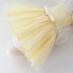 Mini dot pattern Harness for Only Rabbit bunny,  dress harness and leash (Yellow, Pink)
