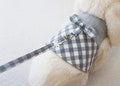 Check Ribbon Harness for Only Rabbit (Vest) product logo