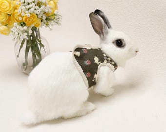 Puede incluir: Un conejo blanco con un arnés decorativo con un estampado floral y de pájaros. El arnés tiene un ribete a cuadros. Un jarrón de rosas amarillas y paniculata en el fondo.