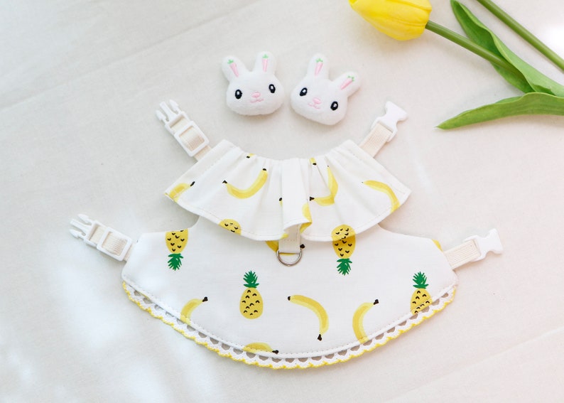 Fruits Harness for Only Rabbit Vest | Etsy