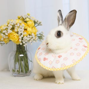Puede incluir: Un conejo blanco con un collar estampado, con un ramo de rosas amarillas y paniculata en un jarr&oacute;n de cristal transparente. El collar tiene un fondo blanco con dise&ntilde;os de conejos y flores rosas, y un ribete de cuadros amarillos.